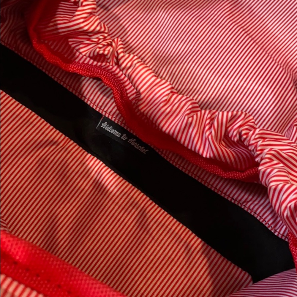 Hershel Backpack - image 4